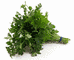 Spice extracts from parsley and other herbs.
