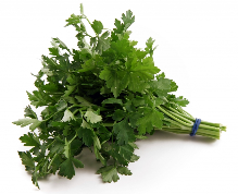 Spice extracts