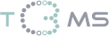 IT services: consulting, software development, Internet and support